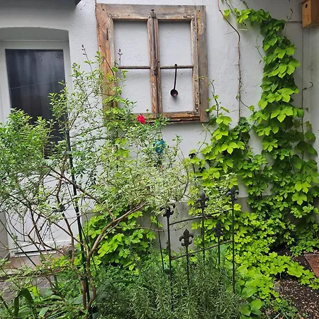 Wartturmblick Apartman